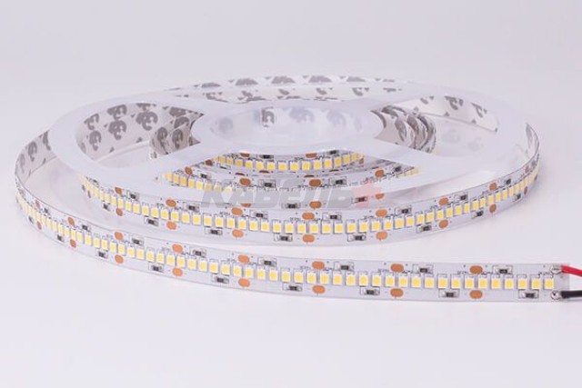 Лента светодиодная GLS-2835-240-22-24-IP20-PRM-6