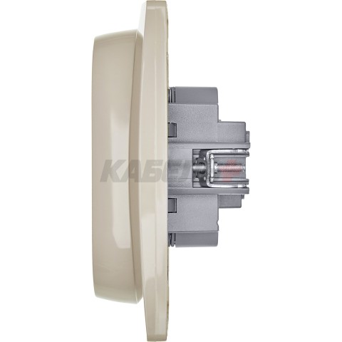 INSPIRIA Розетка 2-местная с заземлением с защитными шторками 16А в сборе слоновая кость