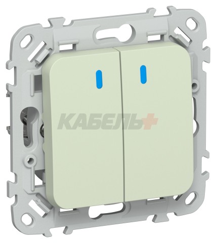 FLITE Выключатель 2-клавишный с индикацией 10А ВС12-1-1-ФлП панг IEK