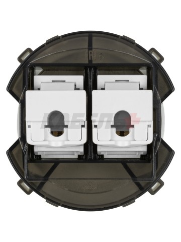 Розетка компьютерная двойная RJ45 шампань, "Байкал" TDM