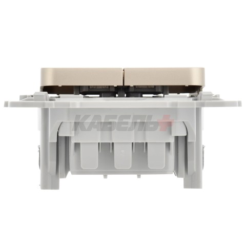 FLITE Выключатель 2-клавишный 10А ВС12-1-0-ФлШ шампань IEK