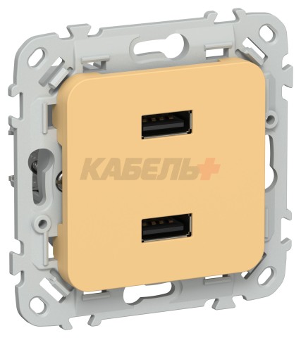 FLITE Розетка USB A+A 3,1А РЮ-2-ФлЗ золотарник IEK