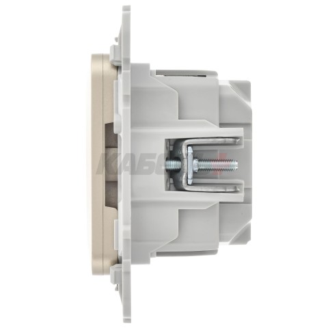 FLITE Розетка с заземлением с защитными шторками безвинтовое крепление 16А РСш11-1-ФлШ шампань IEK