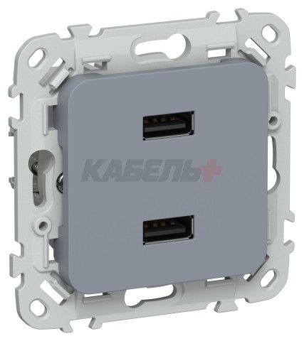 FLITE Розетка USB A+A 3,1А РЮ-2-ФлМ маренго IEK