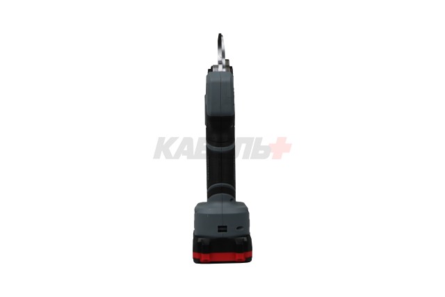 Аккумуляторный бесщеточный E0217 НАБОР 2в1 PROFIPOWER ProfiSet-2G20 (Li-ion-2шт 20В, 2.0Ач, З/У, секатор, мини-пила)