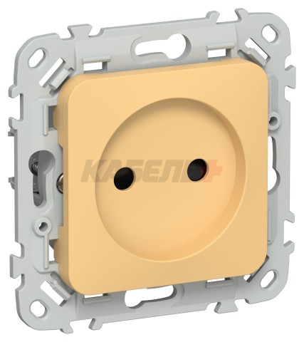 FLITE Розетка без заземления с защитными шторками безвинтовое крепление 10А РСш01-1-ФлЗ золотарник IEK