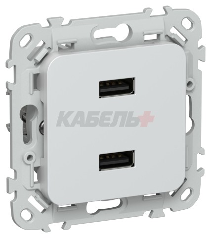 FLITE Розетка USB A+A 3,1А РЮ-2-ФлЖ жемчуг IEK