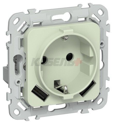 FLITE Розетка 1-местная с заземлением с защитными шторками 16А с USB A+A 3,1А РСЮша11-0-ФлП панг IEK