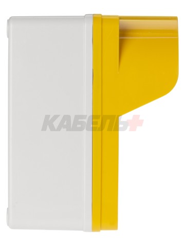 Корпус КП102 c козырьком для кнопок, 2 места, ABS желтый, IP66 TDM