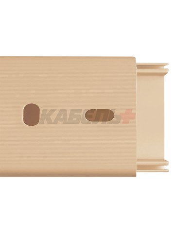 Кабель-канал 40х16 (2м) "ЭКО" 3D (сосна) TDM