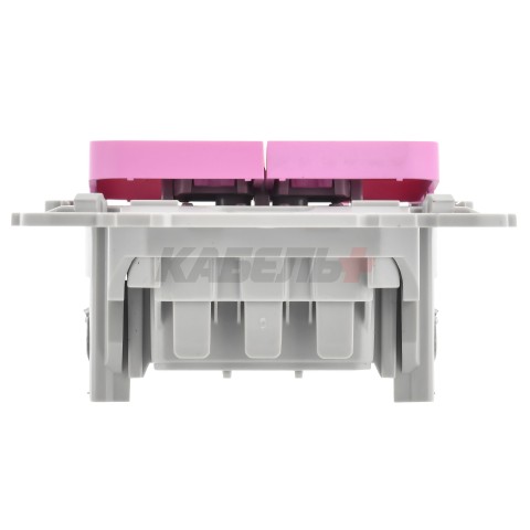 FLITE Выключатель 2-клавишный 10А ВС12-1-0-ФлПр пурпурный IEK