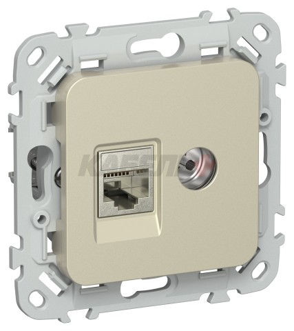 FLITE Розетка 2-местная RJ45/TV категория 5Е STP РКТВ5е-2-1-ФлШ шампань IEK