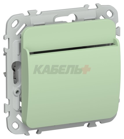 FLITE Выключатель карточный 30А ВК-0-ФлФ фисташковый IEK