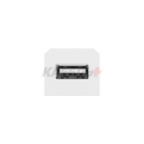 Розетка сменная модульная USB, для блока OR-GM-9015/W, белый