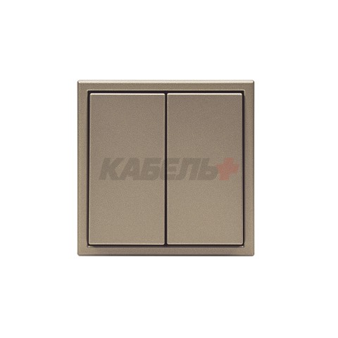 ARTGALLERY 2-клавишный ВЫКЛЮЧАТЕЛЬ, сх.5, 10АХ, механизм, ШАМПАНЬ