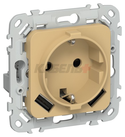FLITE Розетка 1-местная с заземлением с защитными шторками 16А с USB A+A 3,1А РСЮша11-0-ФлШм шамуа IEK