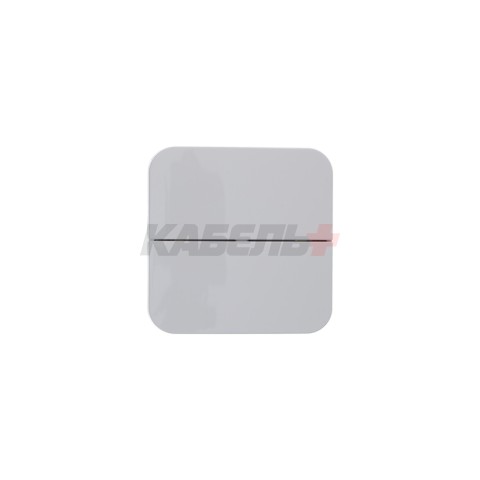 BLANCA О/У 2-клавишный ВЫКЛЮЧАТЕЛЬ (сх.5) ИЗОЛ.ПЛ., 10А, 250В, БЕЛЫЙ