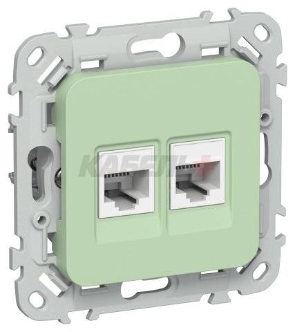 FLITE Розетка 2-местная компьютерная RJ45 категория 5Е UTP РК5е-2-0-ФлФ фисташковый IEK