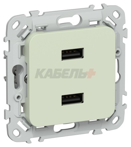 FLITE Розетка USB A+A 3,1А РЮ-2-ФлП панг IEK