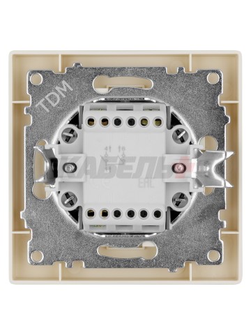 Выключатель 2-х кл. 10А сл.кость "Сенеж" TDM