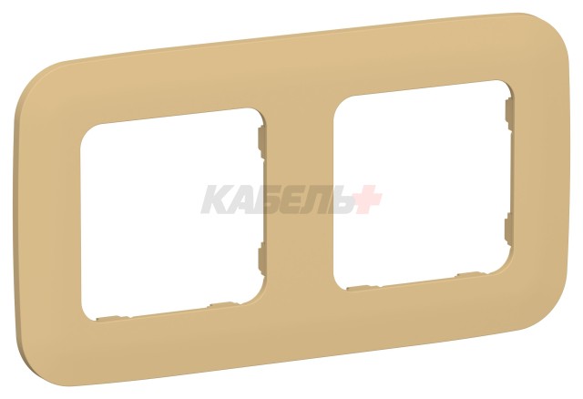 FLITE Рамка 2-местная РУ-2-А-ФлШм шамуа IEK