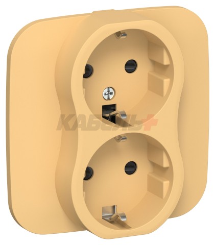 FLITE Розетка 2-местная с заземлением с защитными шторками безвинтовое крепление 16А РСш12-1-А-ФлЗ золотарник IEK