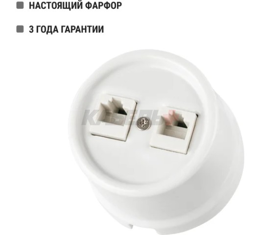 Розетка двойная компьютерная RJ45 белая «Болонь» TDM