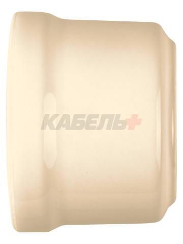 Розетка фарфоровая 2П+З 16А 250В сл. кость «Болонь» TDM