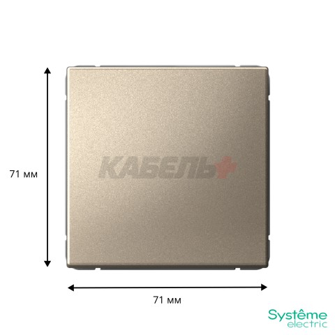 ARTGALLERY 1-клавишный ВЫКЛЮЧАТЕЛЬ КНОПОЧНЫЙ, 10А, механизм, быстрозажим. клем., ШАМПАНЬ