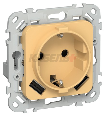 FLITE Розетка 1-местная с заземлением с защитными шторками 16А с USB A+A 3,1А РСЮша11-0-ФлЗ золотарник IEK
