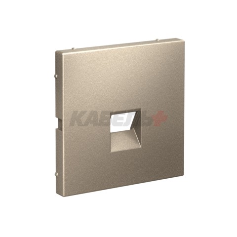 ARTGALLERY НАКЛАДКА для информационных функций типа Keystone, ШАМПАНЬ