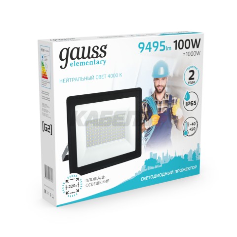 Прожектор светодиодный Gauss Elementary G2 100W 8995lm IP65 4000К черный 1/16