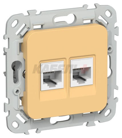 FLITE Розетка 2-местная компьютерная RJ45 категория 5Е UTP РК5е-2-0-ФлЗ золотарник IEK