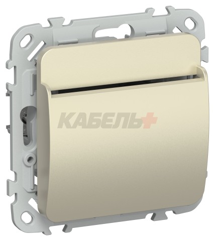 FLITE Выключатель карточный 30А ВК-0-ФлШ шампань IEK