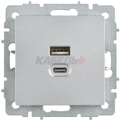BRITE Розетка USB A+C 45Вт высокоскоростная зарядка РЮ11-2-БрА алюминий IEK