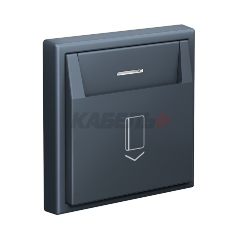 ARTGALLERY ВЫКЛЮЧАТЕЛЬ карточный 10А, без задержки времени, быстр.клемм., ГРИФЕЛЬ