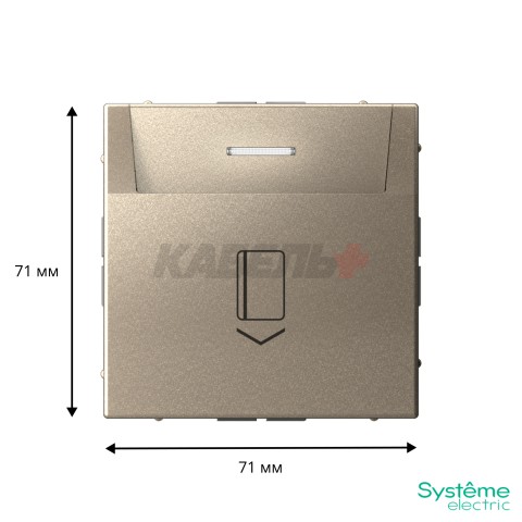 ARTGALLERY ВЫКЛЮЧАТЕЛЬ карточный 10А, без задержки времени, быстр.клемм., ШАМПАНЬ