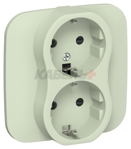 FLITE Розетка 2-местная с заземлением с защитными шторками безвинтовое крепление 16А РСш12-1-А-ФлП панг IEK