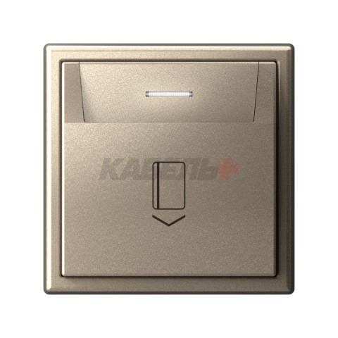 ARTGALLERY ВЫКЛЮЧАТЕЛЬ карточный 10А, без задержки времени, быстр.клемм., ШАМПАНЬ