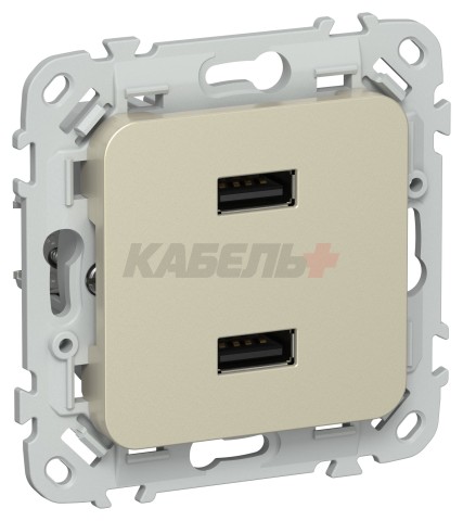 FLITE Розетка USB A+A 3,1А РЮ-2-ФлШ шампань IEK