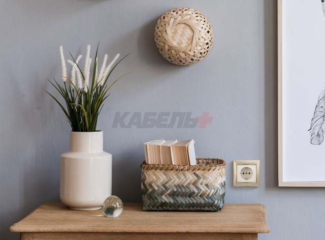 Valena - Розетка 2P+E нем. стд. сл.кость