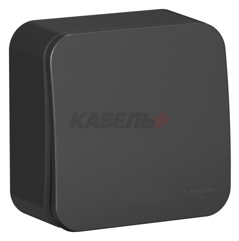 BLANCA О/У 1-клавишный ВЫКЛЮЧАТЕЛЬ (сх.1) ИЗОЛ.ПЛ., 10А, 250В, АНТРАЦИТ