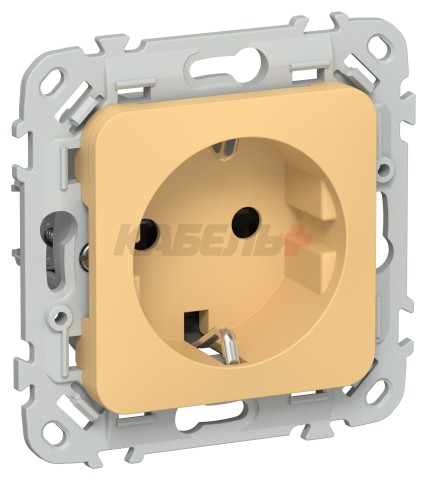 FLITE Розетка с заземлением с защитными шторками безвинтовое крепление 16А РСш11-1-ФлЗ золотарник IEK