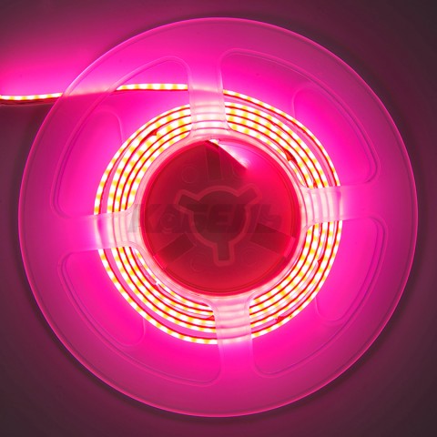 GLS-COB-320-8-24-IP20-P