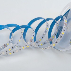 Лента светодиодная GLS-5050-60-14.4-12-IP20-RGB+4