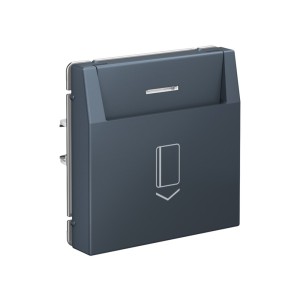 ARTGALLERY ВЫКЛЮЧАТЕЛЬ карточный 10А, без задержки времени, быстр.клемм., ГРИФЕЛЬ