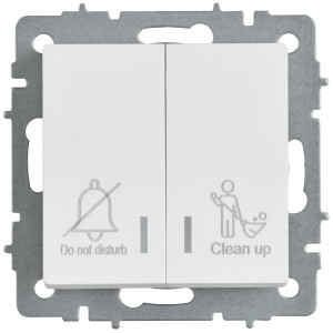 BRITE Выключатель 2-клавишный с индикацией для отелей 10А ВС10-2-9-БрАБ арктический белый IEK