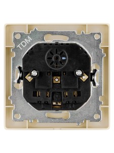 Розетка 2П+З 16А 250В + 2 USB порта 2,1А 5В сл.кость "Сенеж" TDM