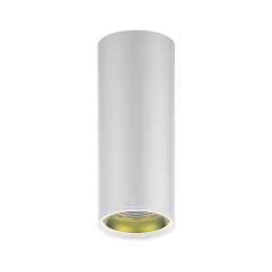 Светильник Gauss Overhead накл цил 12W 900lm 3000K 170-240V IP20 79*200мм белый золото LED 1/30