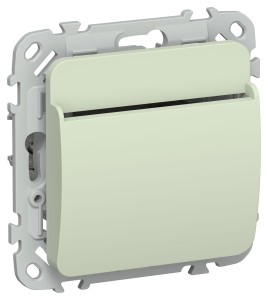 FLITE Выключатель карточный 30А ВК-0-ФлП панг IEK